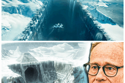 “🔥 Antarctica’s Hidden Vault Unsealed—Scientists Trekked Into a Frozen Cave and What They Found Terrifies Them! 🧊” The moment expedition teams cracked open a secret cavity beneath Antarctica’s ice, the air turned from scientific triumph to spine-chilling dread—inside this cave lay an object, a fossil, or something frozen for millennia that shouldn’t be there, and now the researchers are looking over their shoulders as if the ice itself is watching. 👇