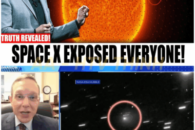 🚨UNBELIEVABLE🚨 NASA footage reveals thousands of alien probes near the Sun — then they abruptly cut the feed!