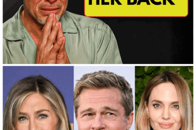 After Decades, Brad Pitt Finally Confesses That She Was The Love Of His Life