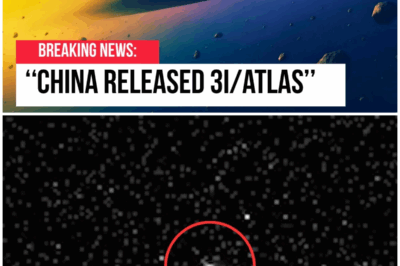 😱 NASA’s Secret: Why Are the Most Anticipated Images of 3I/ATLAS Still Locked Away? 😱 – HTT