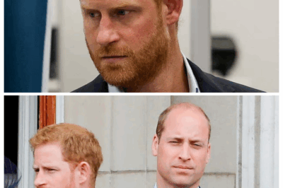 Prince Harry announces trip to Canada... just as brother William stages his glittering Earthshot Prize in Rio