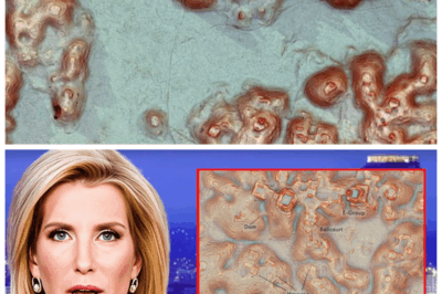 “Unbelievable Discovery in Mexico: What They Found Will Have You Questioning Everything! 😱🔮” “The truth was buried beneath our feet all along,” says an archaeologist in awe, as a shocking discovery in Mexico defies all expectations. What they uncovered is so extraordinary it has left experts scrambling to understand its significance. From ancient artifacts to unimaginable secrets, this find could change everything we know about the ancient world. 👇