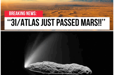 😱 Interstellar Intruder: The Shocking Behavior of 3I/Atlas That Defies Comet Physics! 😱 – HTT