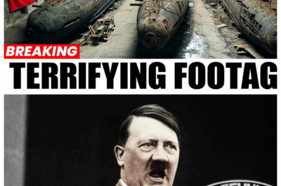 Hitler’s Secret Submarine Base Finally Opened After 81 Years — What Was Inside Will Shock You
