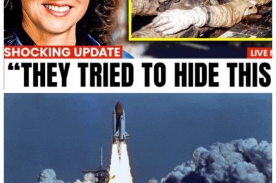 NASA Tried to HIDE What Happened to the Challenger Crew — The Truth Is NOT What You Think
