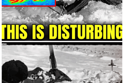 “Russia’s Greatest Mystery Finally Solved By AI — Dyatlov Pass Was Far Worse Than We Thought”