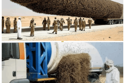 They Released Millions of Frozen Bees Into Sahara a Year Later the Result Shocked the World