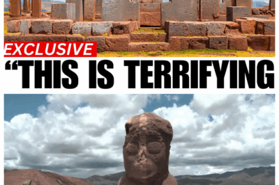 Puma Punku Mystery Finally Solved In 2025, And It’s Not What You Think…