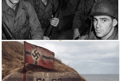 American Squad Vanished in WW2 — 50 Years Later, The Reopened Nazi Bunker Stuns Investigators…