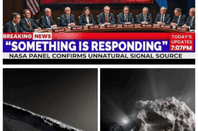 3I/ATLAS Has JUST REVEALED This Transmission — and the MESSAGE Is Terrifying