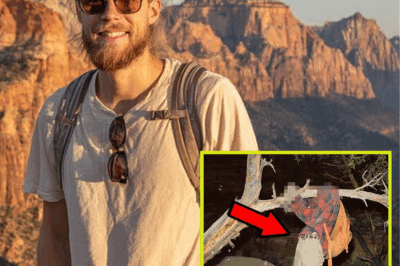 💧 “He Texted ‘The View Is Unreal’ — Then Vanished. What Was Found Hanging in the Canyon Three Years Later Still Defies Explanation 🌲😨”