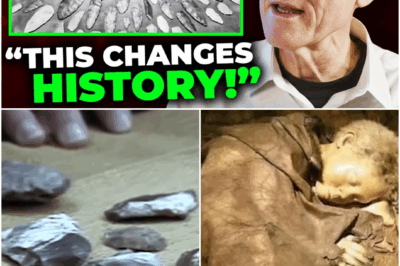 Experts STUNNED After Discovering DNA Tied ONLY To CLOVIS PEOPLE 😱 — A History-Shaking Revelation That “Proves Someone Lied About Who Was Here First,” Claims One Research Insider As Newly Unsealed Dig Notes, Lost Field Journals, And A Whisper Network Of Archaeologists Suggest A Decades-Long Cover-Up, Igniting A Shockwave Through America’s Origin Story And Throwing Generations Of Textbooks Into Complete Chaos