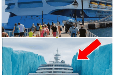 Entire Luxury Cruise Vanished in 2011 — 8 Years Later, It Was Found Frozen Between Two Icebergs…