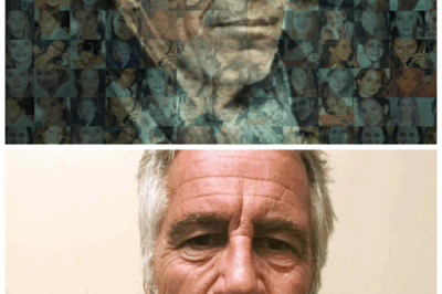 🐘 “Jeffrey Epstein’s Cellmate 😱 Claims the Billionaire Predator Was Promised Freedom — If He Exposed Someone ‘Too Powerful to Name’” 👉 The walls of that cell heard things no courtroom ever will, and now, as the surviving cellmate breaks his silence, the world trembles at the thought of what kind of power could make a man like Epstein believe in miracles again👇