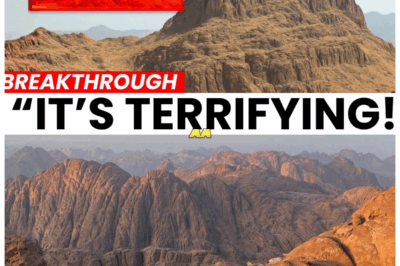 100x Stronger Ground-penetrating Radar Drone Scanned Mount Sinai, And Confirmed What We Already Knew