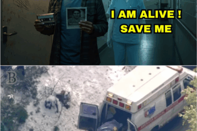 🚨 “14 Years After She Disappeared, Her Son Found an Elevator That Wasn’t on Any Map — What He Heard Next Changed Everything” 😨