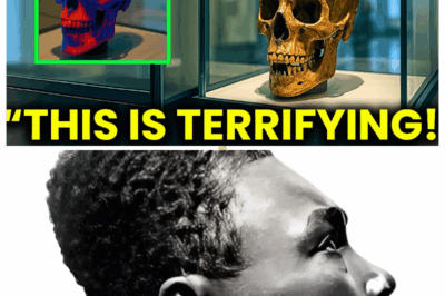 DNA Results From Peru’s 3,000-Year-Old Elongated Skulls Reveal A Shocking Truth