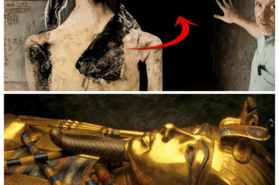 Tomb of the Exodus Pharaoh: What Was Found & Why You Don’t Know About It!