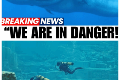 Scientists Are Terrified of What They Found in the Deep Ocean