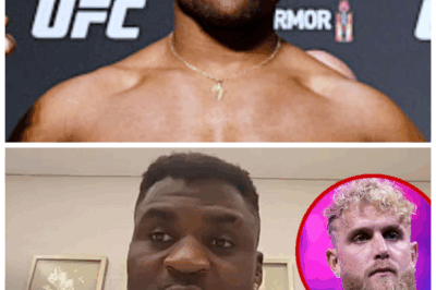 🐘 “Jake Paul’s Replacement Plan FALLS APART — Francis Ngannou SAYS ‘Count Me Out’ and The Drama Just Began!” 💥 When Gervonta Davis’ legal fiasco forced a scramble for a new opponent, Jake Paul’s team apparently thought they could pull off a blockbuster by targeting Francis Ngannou. But Ngannou didn’t just say “no”—he ripped the offer apart, calling it nonsensical and beneath his career trajectory. “It makes no sense for me… don’t disrespect me like that,” he said. Now the scramble is real and the fallout could explode bigger than the cancelled fight itself.👇