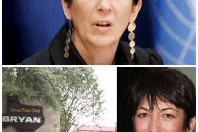 🐘 “Ghislaine Maxwell 😱 Says She’s ‘Happier’ in Prison — The Fallen Socialite Who Found Peace Among Concrete Walls and Broken Souls” 👉 Once the queen of whispered invitations and private jets, Ghislaine Maxwell now claims serenity inside a Texas prison, sipping instant coffee and calling it redemption — but the ghosts of Epstein’s empire never stopped visiting her cell at night👇