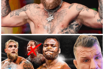 🐘 ‘Jake Paul vs FRANCIS NGANNOU?!’ 💥 BISPING REACTS After Jake Paul vs Tank Davis CANCELED — “This Is Absolute Madness!” 👇 When the shocking news broke that Jake Paul’s highly anticipated bout with Gervonta “Tank” Davis was officially off, the combat world went into meltdown — but Michael Bisping’s reaction? Pure gold. The former UFC champ nearly fell out of his chair live on stream when he heard Jake might pivot to Francis Ngannou. “Are you kidding me?” he yelled. “That’s not a fight, that’s a funeral!” Fans flooded the chat, half-laughing, half-horrified. “Jake’s chasing headlines now,” Bisping barked. “Not belts.”