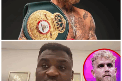 🐘 “Francis Ngannou TURNS DOWN Jake Paul — Rejects ‘Disrespectful’ Offer to Fill In for Gervonta Davis, Fans Are SHOCKED!” 💣 In a move nobody expected, Francis Ngannou declined a mega‑money slot to fight Jake Paul after Gervonta Davis was pulled from the bout. His reasoning? Professionalism, purpose, and principle. “If it was about the numbers I’d tell you—this isn’t what I’m looking at,” he declared, leaving Paul’s team scrambling and fans questioning what the rematch market is truly about.👇