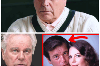 🐘 Decades of Mystery End Here 🕰️💣: Robert Wagner, 95, Finally Reveals the Truth About Natalie Wood’s Death—And It’s a Hollywood Bombshell! The iconic actor’s long-awaited confession exposes a web of deceit, heartbreak, and shocking twists that will haunt Tinseltown forever. “Because some stories are too big to keep quiet.” 👇