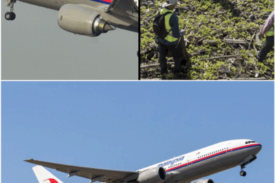 MH370 Mystery Reignited: Newly Uncovered Cargo Evidence Challenges Everything We Thought We Knew