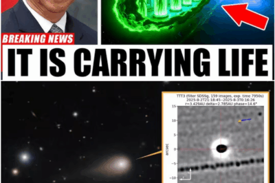 Chinese Telescope Detects Rhythmic Signal from Interstellar Object 3I/ATLAS — Scientists Divided Over Signs of Life Beyond Earth