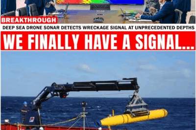 After 11 Years of Silence, Deep-Sea Drone Detects Mysterious Pulse Believed to Be Linked to MH370 — Scientists Left Speechless by Signal 100x Stronger Than Anything Seen Before