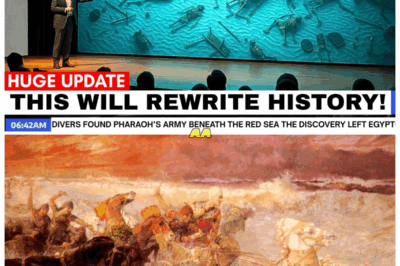 Divers Found Pharaoh’s Army Beneath the Red Sea — The Discovery Left Egyptologists Frozen!