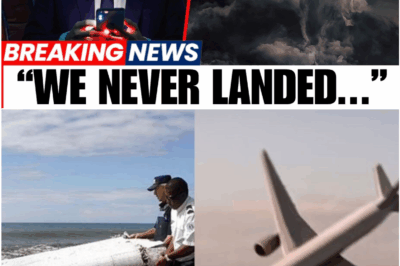 MH370 Mystery: New Evidence Emerges After 10 Years, Potentially Revealing What Really Happened to Malaysia Airlines Flight