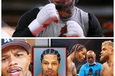 🐘 Gervonta Davis SPEAKS OUT After Arrest & Jake Paul Fight CANCELLED 🔥 “I’m Not Done Yet, I’ll Be Back” 👇 In his first statement since the shocking arrest and subsequent cancellation of the Jake Paul fight, Gervonta Davis made it clear that he isn’t finished yet. “This is just a chapter, not the whole story,” he said, vowing to return stronger. But what does this mean for his career moving forward, and how will the fallout affect his legacy in the sport? Fans are divided, but Davis isn’t backing down. 👇