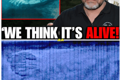 Before He Dies, Treasure Hunter Dennis Asberg Shocks The World With His Message