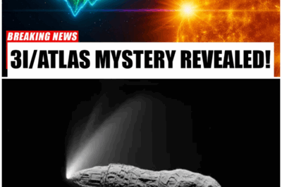 😱 3I/ATLAS Just Brightened After Passing the Sun – NASA Is Watching Closely 😱 – HTT