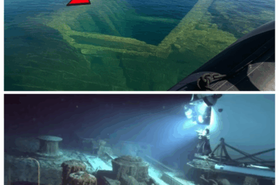 What They FOUND Under Lake Superior That Dated From 1870 Will Blow Your Mind!