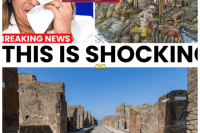 Experts Shocked After Analyzing Britain’s Pompeii A Perfectly Preserved City Beneath the Sand