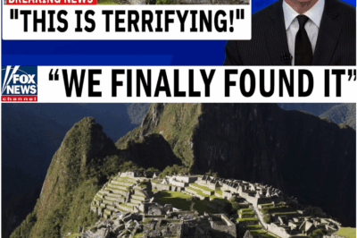 2025 Discovery Beneath Machu Picchu Shatters Centuries of Assumptions — Scientists Say the Inca Were Protecting Something Far Greater Than a Palace