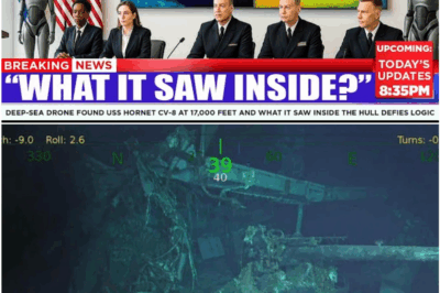 Deep-Sea Drone Discovers USS Hornet CV-8 at 17,000 Feet — What Lies Inside Leaves Historians Speechless