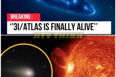 🦊 “3I/ATLAS at Perihelion: The Stunning Cosmic Arrival That Scientists Can’t Explain — Could This Interstellar Wanderer Be Far More Than a Comet? 🌠🚨”