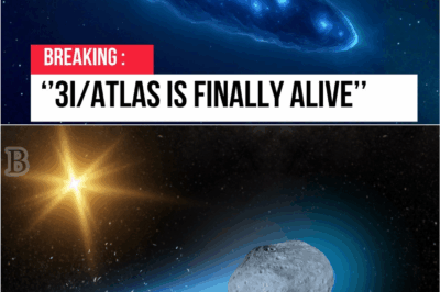 🌌 “A Comet, a Solar Firestorm, and a Countdown: 3I/ATLAS’s Mysterious Surge May Signal the Most Intense Space Weather of the Year” ⚡