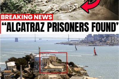 “Alcatraz Secrets Unveiled: Scientists Make a Mind-Blowing Discovery That Stuns the World”