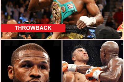 🐻 Floyd Mayweather shocked analysts with his most violent performance to prove Nelson Mandela wrong