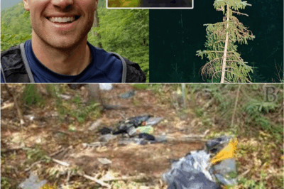 🕯️ “The Forest Took Him: The Appalachian Mystery That Left Searchers Speechless When They Looked Up”