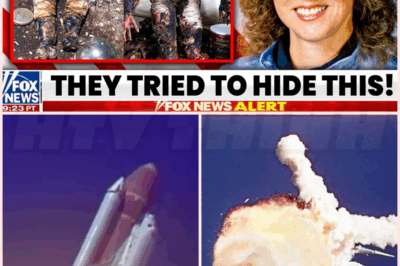 🐻 Christa McAuliffe Gave Chilling Remarks About ‘Safe’ Challenger in Final PEOPLE Interview Before Explosion