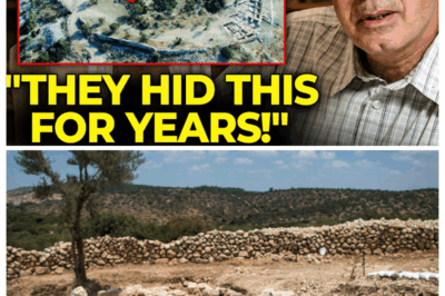 Before I Die, I Must Tell The Truth —Dr. Yosef Garfinkel Reveals What He Found in the Valley of Elah