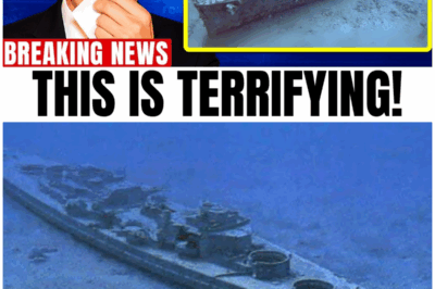 Underwater Drone Flown Towards Bismarck Wreck What They See Terrifies The World – HTT