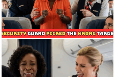Security Pulled Black CEO Off Plane — She Pulled $4 Billion in Funding Minutes Later