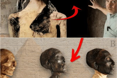 Tomb of the Exodus Pharaoh Unveiled: What Was Discovered and Why You Haven’t Heard About It